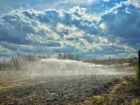 Pożar traw w Bojanie. Chwila nieuwagi, która może kosztować 30 000 złotych!