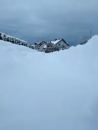 Bojano łączy siły! Akcja społeczna 'Wspólne Odśnieżanie'.