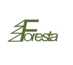 foresta plac zabaw.jpg