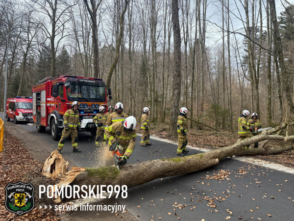 Poniedziałek Wielkanocny w cieniu żywiołu. Bilans niszczycielskiego wiatru w regionie.