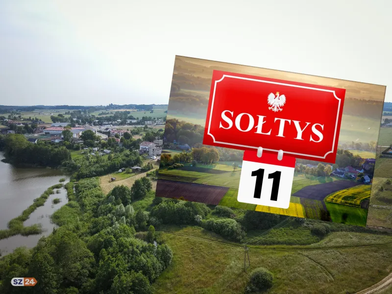 soltys.png